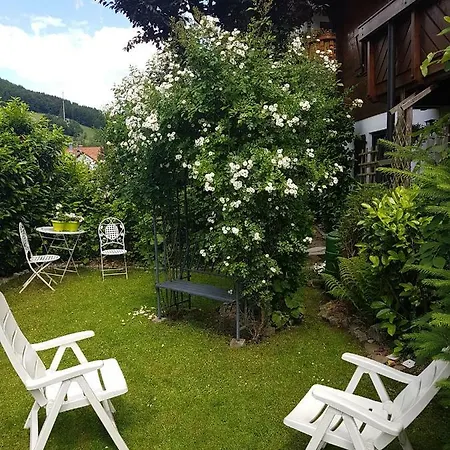 Schwarzwaldhaus * Elzach